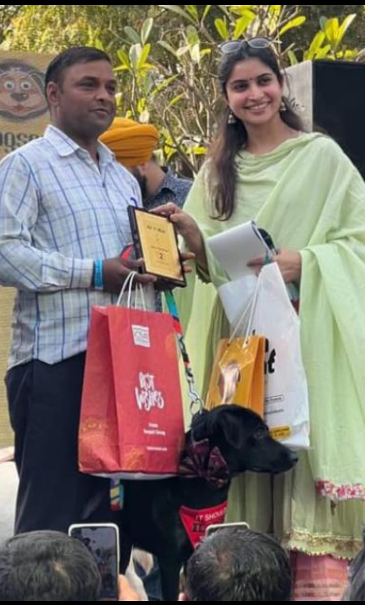 Award Winning Dog Trainer