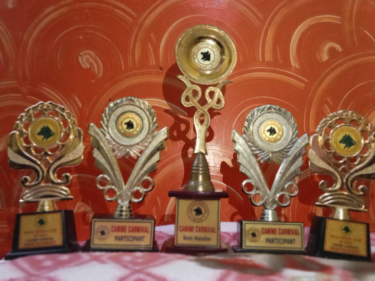 Our Dog Training Awards