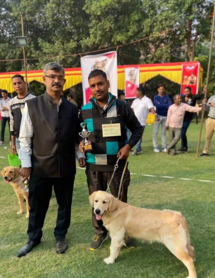 Dog Show